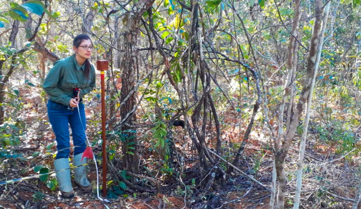 rTLSDeep Package Illustration