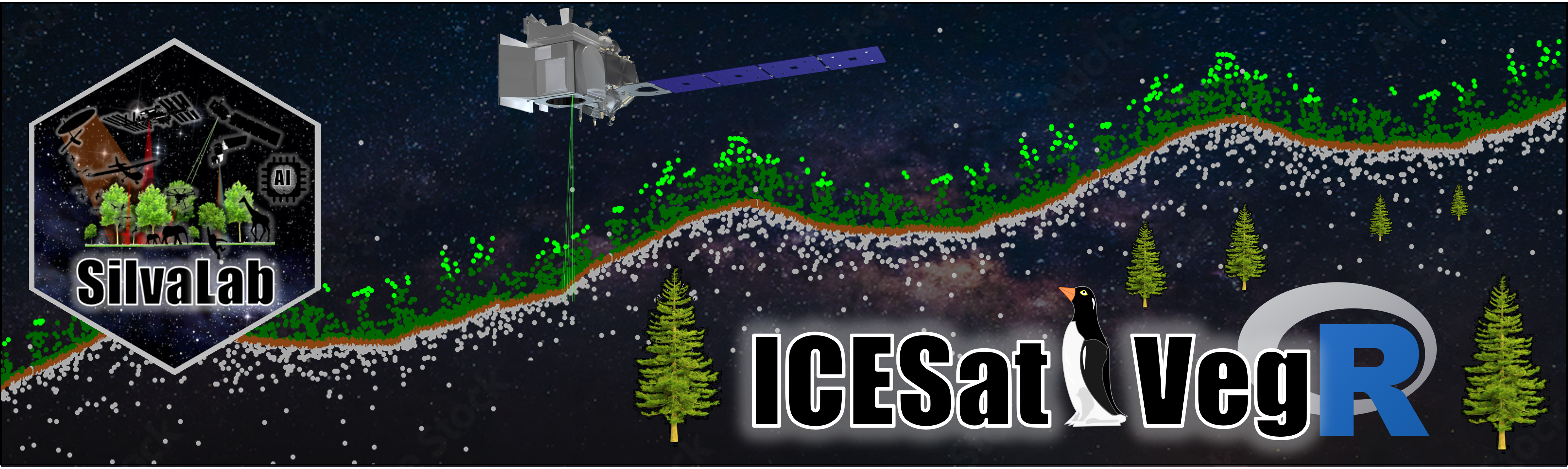 ICESat2VegR